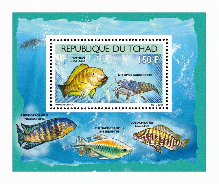Chad 2012 Imperf. Fish and Shellfish 2012 Full No. 2523 A- 2526 A - BL. 407 - 410-