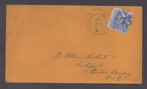 **US 19th Cent Cover SC# 114, Hornellsville, NY 7/29 CDS + Fancy Cancel, DPO