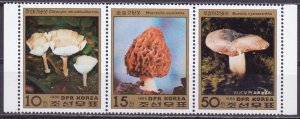 North Korea. 1986. 2791-93. mushrooms. MNH.