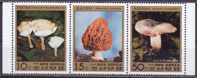 North Korea. 1986. 2791-93. Mushrooms. MNH.