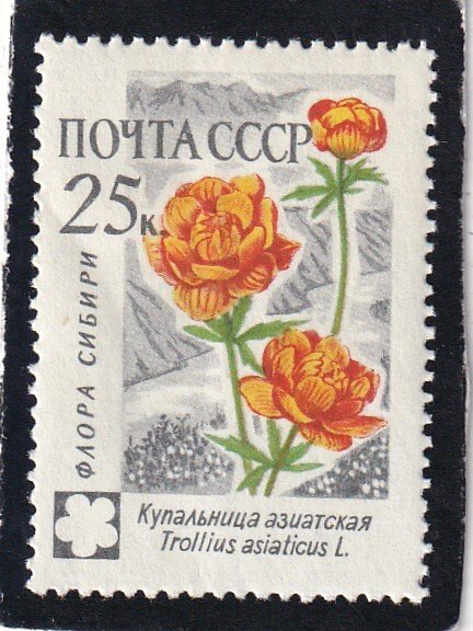Russia   #     2410    unused