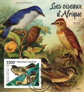 TOGO 2021 - African birds / minisheet