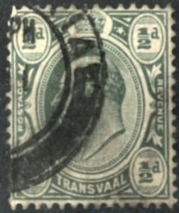 TRANSVAAL #281 - USED - 1905 - TRANS001