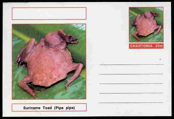 Chartonia (Fantasy) Amphibians - Suriname Toad (Pipa pipa...