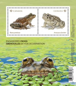 ENDANGERED FROGS = frog, toad = Souvenir Sheet of 2 stamps MNH Canada 2024