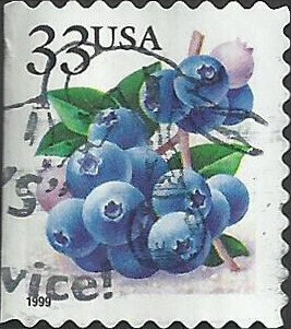 # 3298 USED BLUEBERRIES