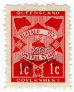 (I.B) Australia - Queensland Revenue : Buffalo Fly 1c