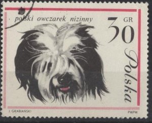 Poland 1116 (used) 30g dogs: Polish sheep dog (1963)