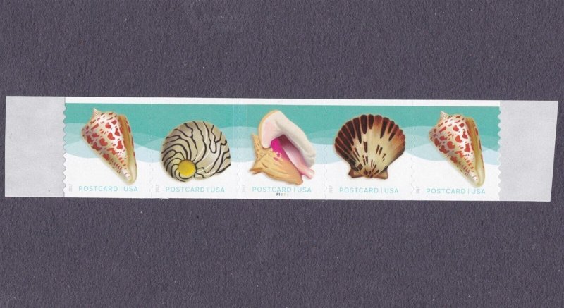 PNC5 35c Seashells SA (16) P11111 US 5167-5170, 5170a F-VF MNH Tabs