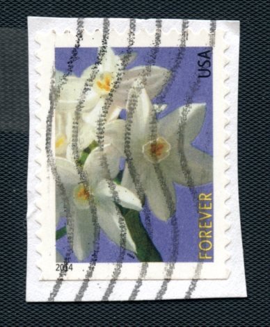 US Scott's # 4864 Paperwhite flowers - used - On Paper