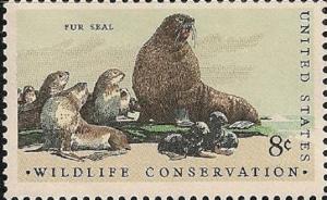 US 1464 Wildlife Conservation Fur Seals 8c single (1 stamp) MNH 1972