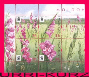 MOLDOVA 2016 Flora Plants WWF Wild Meadow Field Flowers Gladiolus Imbricatus bl