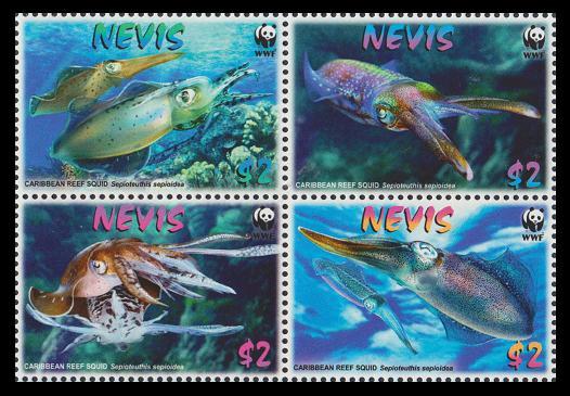 Nevis WWF Caribbean Reef Squid 4v in block 2*2 SG#2155-2158 MI#2380-2383