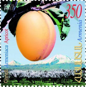 Armenia MNH** 2007 Scott 751 Mi 610 Apricot Armeniaca Apricot Fruit Flora