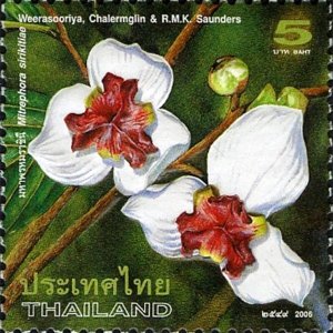 2006 - Thailand - Mahaphrom Rachini