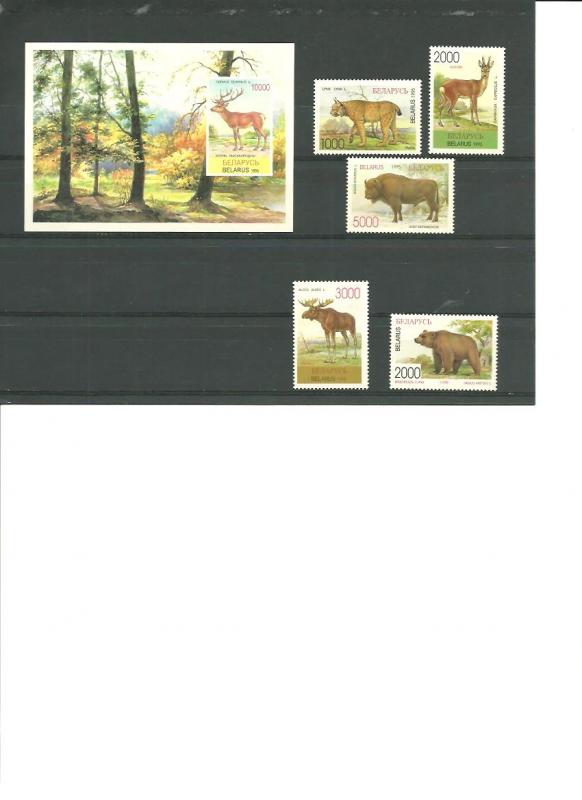 Belarus  1995  MNH   Scott  129-134   Fauna