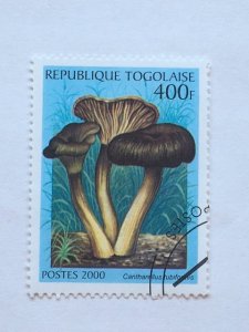 Togo – 2000 – Single Mushroom Stamp – SC# 1938E - Used