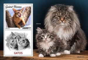 2023/01 - GUINEA BISSAU - CATS       1V  complet set    MNH **