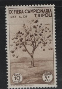 LIBYA,  B55 MINT HINGED