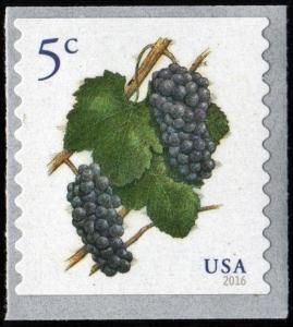 SC#5038 5¢ Grapes Coil Single (2016) SA