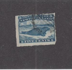 NEWFOUNDLAND (MK499) # 40  F- USED  5cts HARP SEAL/ ROULETTED/BLUE CAT VAL $10