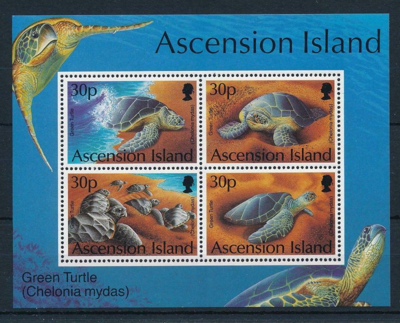 [31455] Ascension 1994 Marine life green turtles Souvenir Sheet MNH