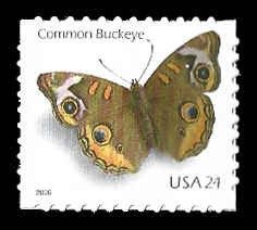 PCBstamps   US #4001 24c Butterfly, MNH, (8)
