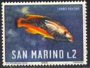 Fish, Cuckoo Wrasse, San Marino stamp SC#644 MNH