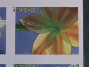 ​UNITED STATES-2014 SC#  4865b -AMERICAN WINTER FLOWERS -MNH BOOKLET-VERY FINE