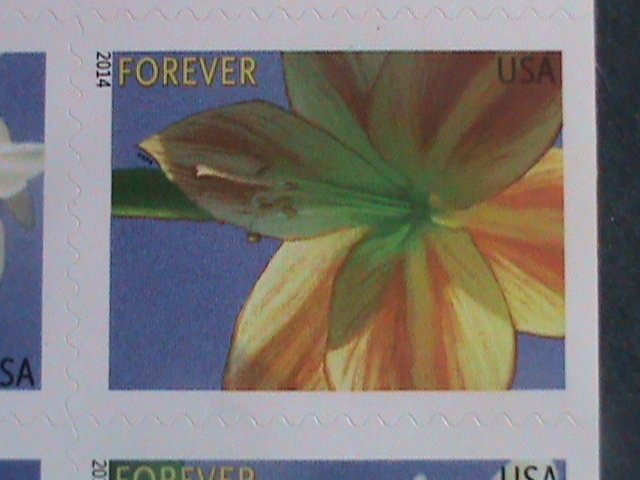 ​UNITED STATES-2014 SC#  4865b -AMERICAN WINTER FLOWERS -MNH BOOKLET-VERY FINE