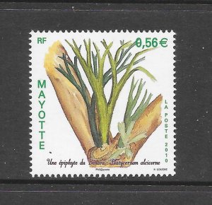 MAYOTTE CLEARANCE #262 PLANT MNH