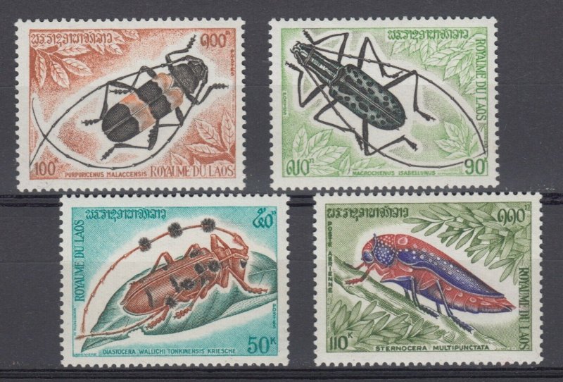 Laos Insects and Bugs