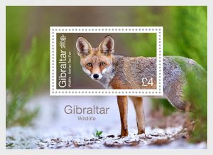 2023 Gibraltar Wildlife SS (Scott NA) MNH