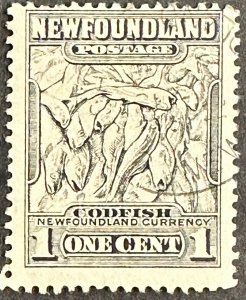 Newfoundland #184 Used 1c Codfish 1932 [G26.1.1]