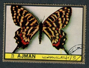 Ajman Butterfly used single
