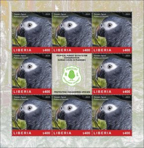 2020 LIBERIA SHEETLET PARROTS PARROTS BIRDS - PROTECT SPECIES PANDEMIC MNH-