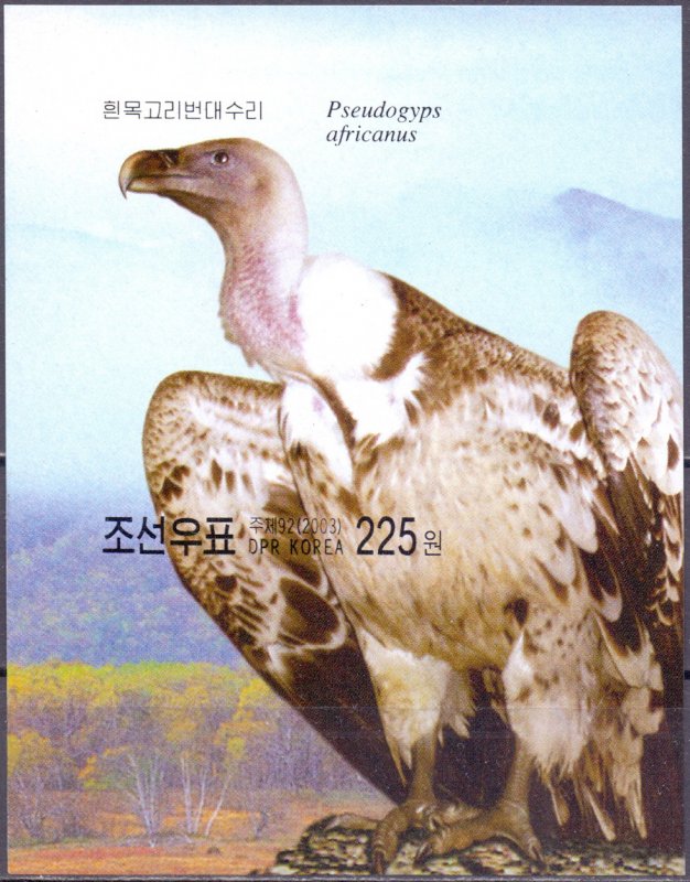 North Korea. 2003. 4686B-90B bl558. fauna birds doves. MNH.