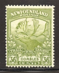 Newfoundland Scott 126 Unused LH - 1919 Trail of the Caribou (Combles)