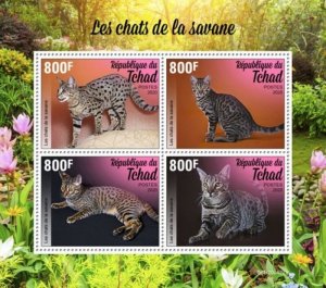 Chad - 2020 Savannah Cat Breed - 4 Stamp Sheet - TCH200422a