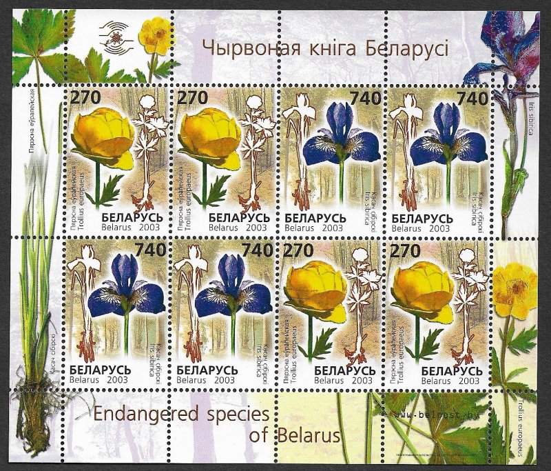 BELARUS 2003 ENDANGERED FLOWERS Miniature Sheet Sc 471a MNH