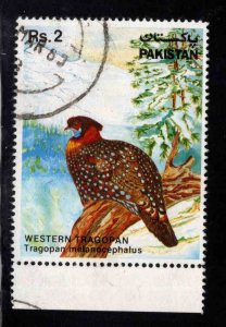 Pakistan Scott 560 Used Western Tragopan Bisrd stamp