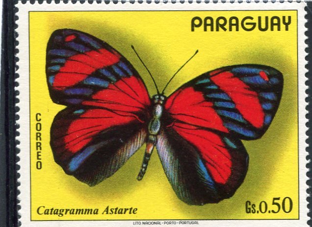 Paraguay 1973 BUTTERFLIES 1 value Perforated Mint (NH)