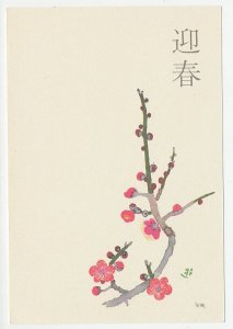 Specimen - Postal stationery Japan 1984 Cherry Blossom