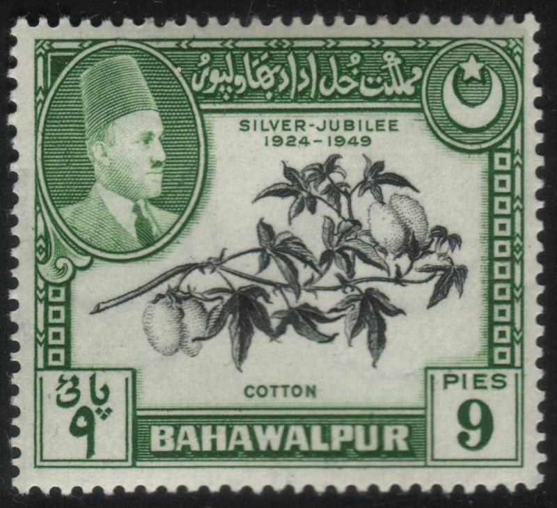 Bahawalpur #24 - Cotton - MLH