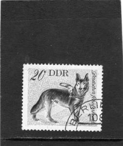 Germany DDR 1976 Dogs used