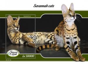 SIERRA LEONE - 2019 - Savannah Cats - Perf Souv Sheet - MNH