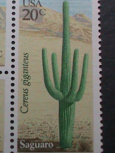 ​UNITED STATES-1981-SC#1942-5  LOVELY CACTUS -MNH BLOCK VERY FINE