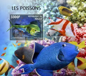 Niger 2019 MNH Fish Stamps Fishes Mahi Mahi Dolphinfish 1v S/S