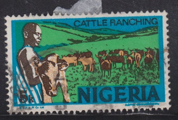 Nigeria 294A Cattle Ranching 1973