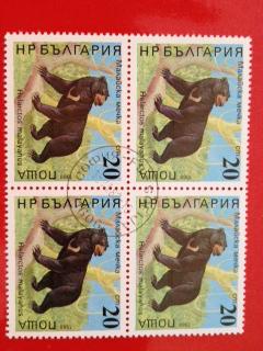 Bulgaria 1988 Block Animal Bear Helarctos Malayanus Mammal Stamps Mi 3706 CTO